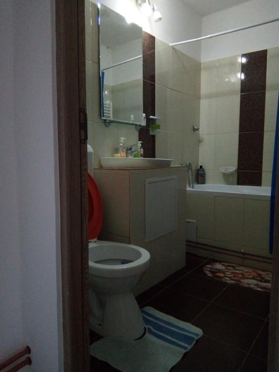 Central Apartment 2 Timisoara Exterior foto